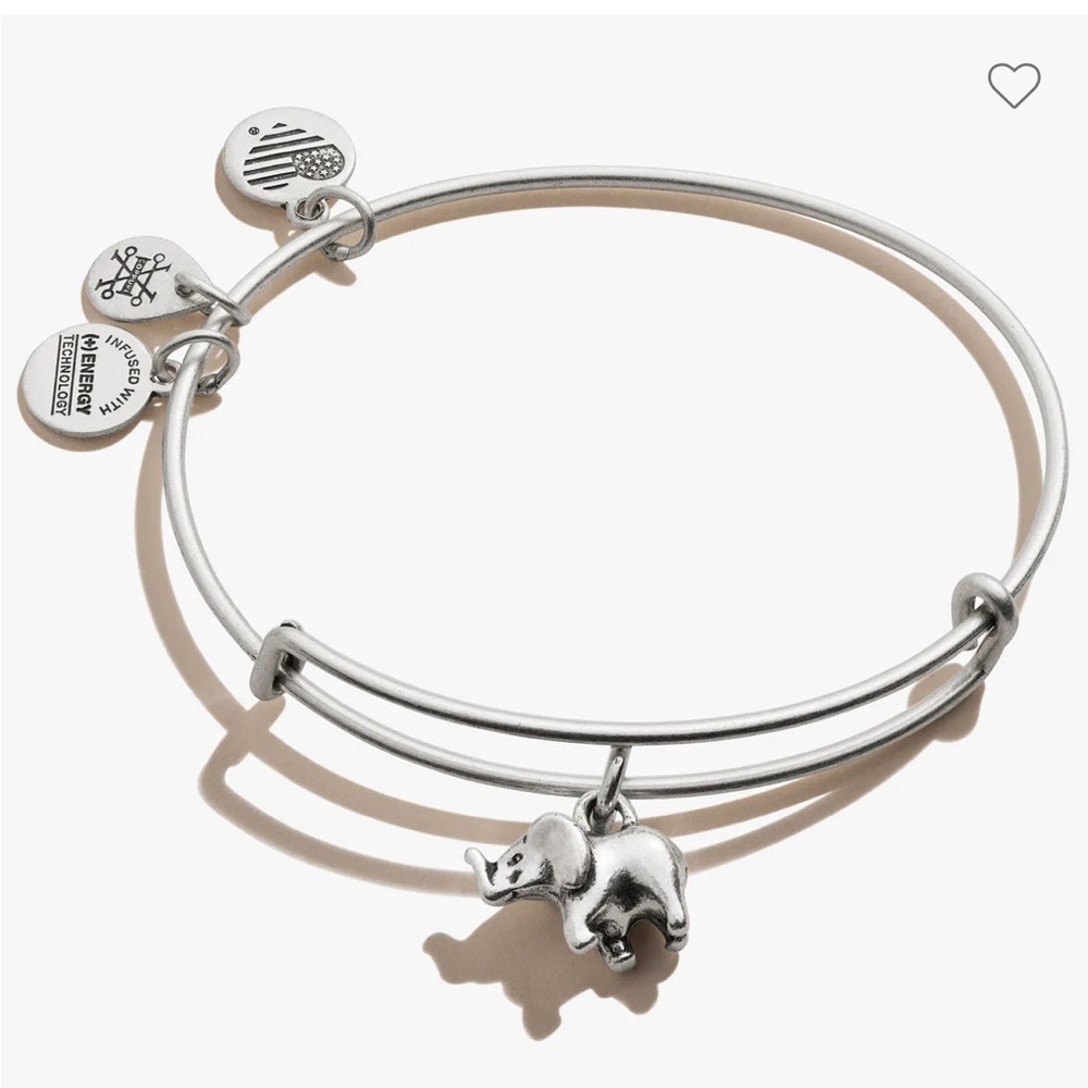Alex and Ani Charm Bracelet